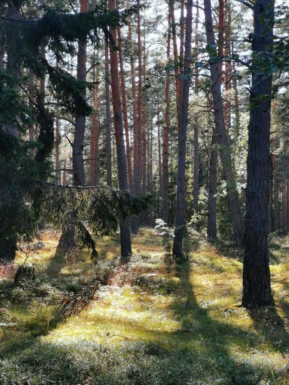 Дома для отпуска Green Valley Brīvdienu mājas Žocene